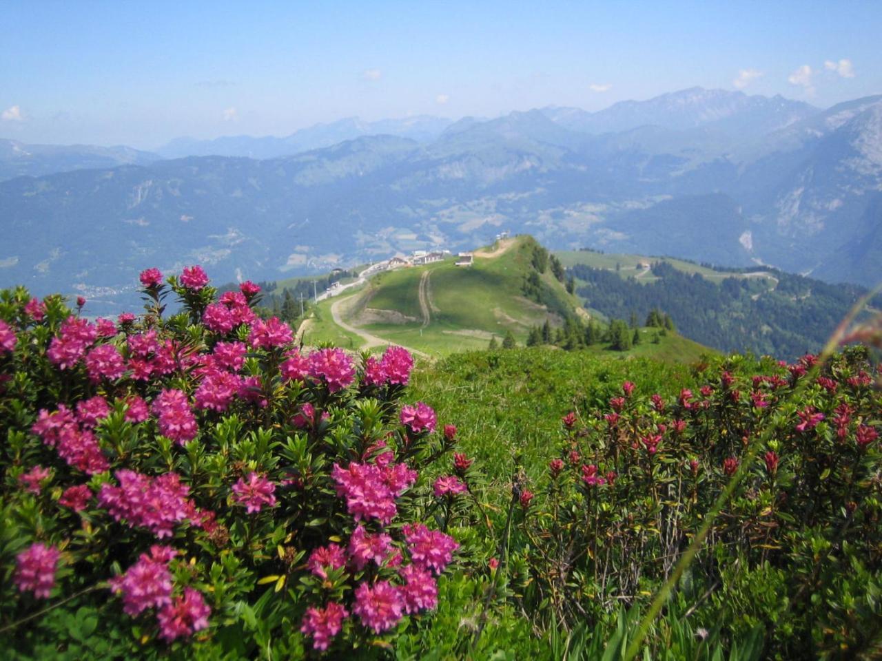 Samoens Apartment 2 Bedroom 50M2 Modern And Well Equipt Εξωτερικό φωτογραφία